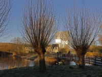 20160512 Mooie plaatjes Dubbelmondepad Dordrecht Tstolk