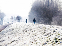 Winters Koud De Elzen Dordrecht