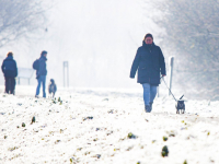 13-12-2022-Winters-Koud-De-Elzen-Dordrecht-Stolkfotografie