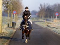 20161901 Heerlijke paardrijden in winterse omstandigheden Oude Veerweg Dordrecht Tstolk