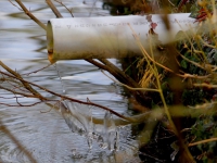 20161901 winterse foto oude veerweg Biesbosch Dordrecht Tstolk 001