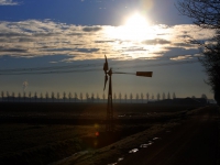 20161901 winterse foto oude veerweg Biesbosch Dordrecht Tstolk 002