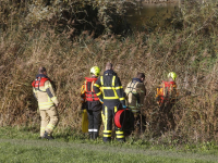 Hond te water geraakt Wantijdijk Dordrecht