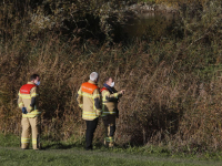 Hond te water geraakt Wantijdijk Dordrecht