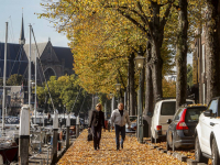 Herfstbladeren Nieuwe Haven Dordrecht