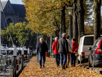 Herfstbladeren Nieuwe Haven Dordrecht