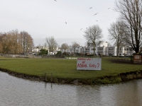 20171201 Dierenwei of Asfalt erbij Smitsweg Dordrecht Tstolk